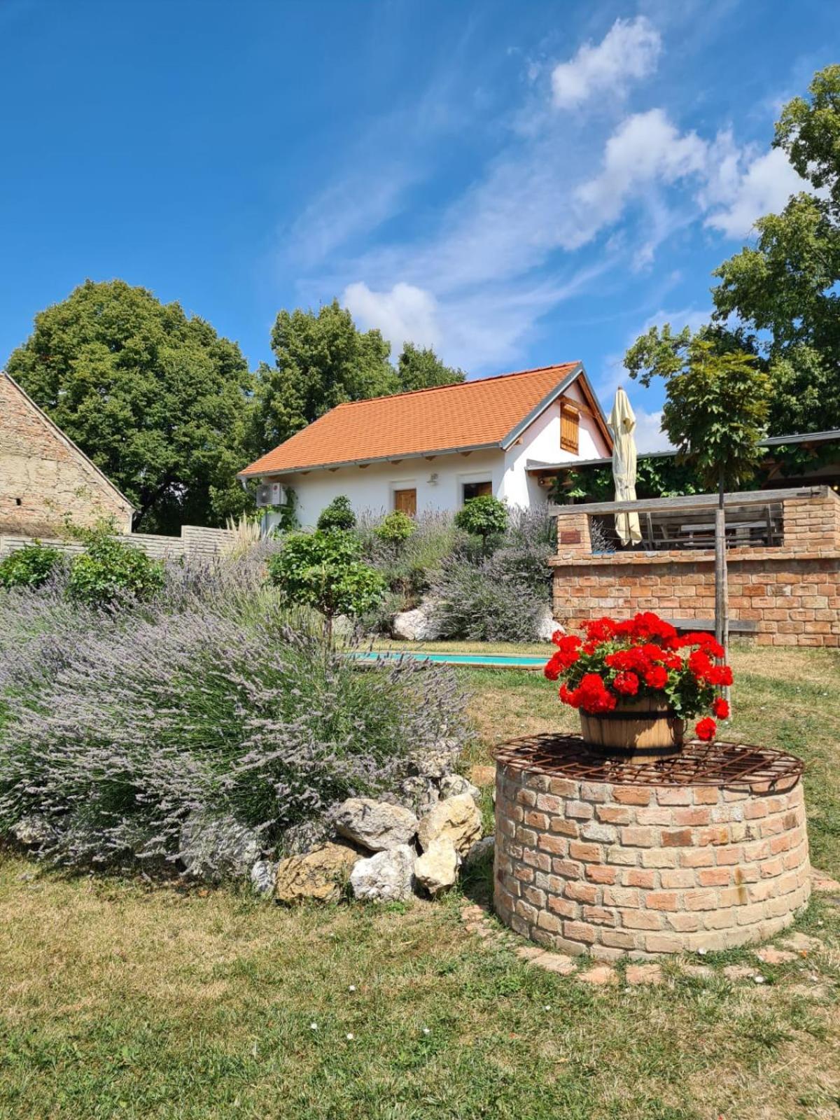 La Bobul Apartments Drnholec Esterno foto